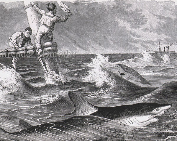 Sharks Sinking Ship Crew Victorian Era 1870s SOS Vintage Natural