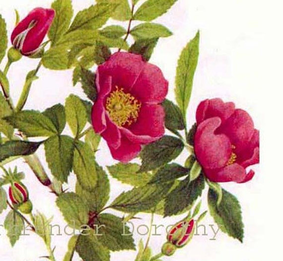 油絵 絵画 【Wild flowers】 Vintage Wildflower Still Life Painting Giclee Print on Fine