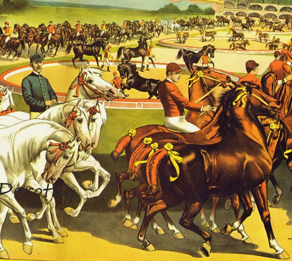 Horse Show Hippodrome Barnum & Bailey Circus Poster 1890s | Etsy