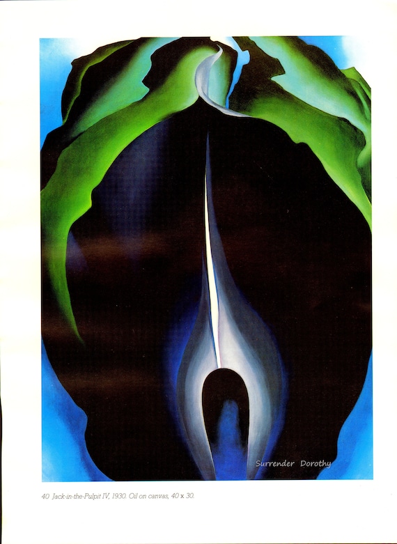 Georgia O'keefe Jack in A Pulpit IV 1930 Botanical Color
