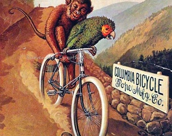 Poster Columbia Bicycle Cycle Monkey Parrot Having a Heavenly Time