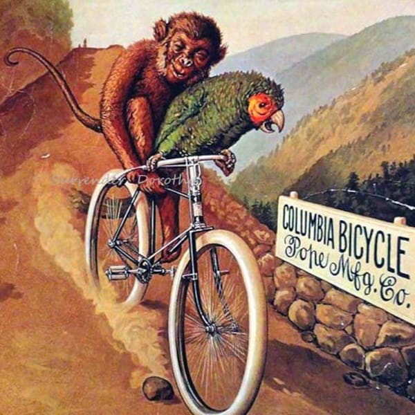 Columbia Bicycles Monkey & Parrot Vintage Victorian Advertisement 1895 Steampunk Era Lithograph Poster  Ad To Frame