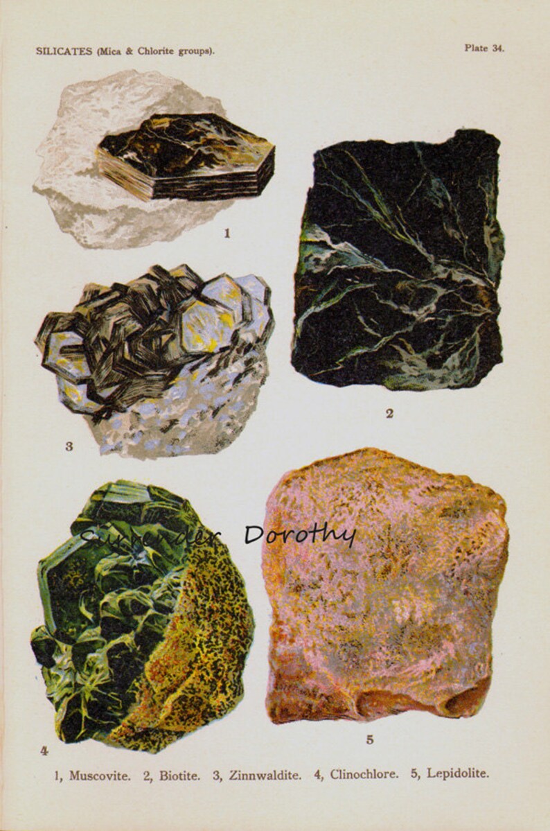Biotite mica mineral family picture