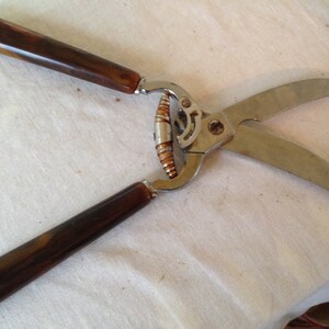 May include: A pair of vintage kitchen shears with brown plastic handles and silver blades.