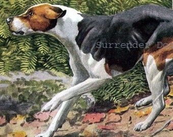 English & American Foxhound Dog Louis Agassiz Fuertes Vintage Original Edwardian Antique Lithograph To Frame