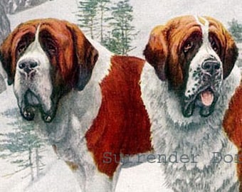 St. Bernard Dogs Louis Agassiz Fuertes 1910s Original Antique Lithograph To Frame