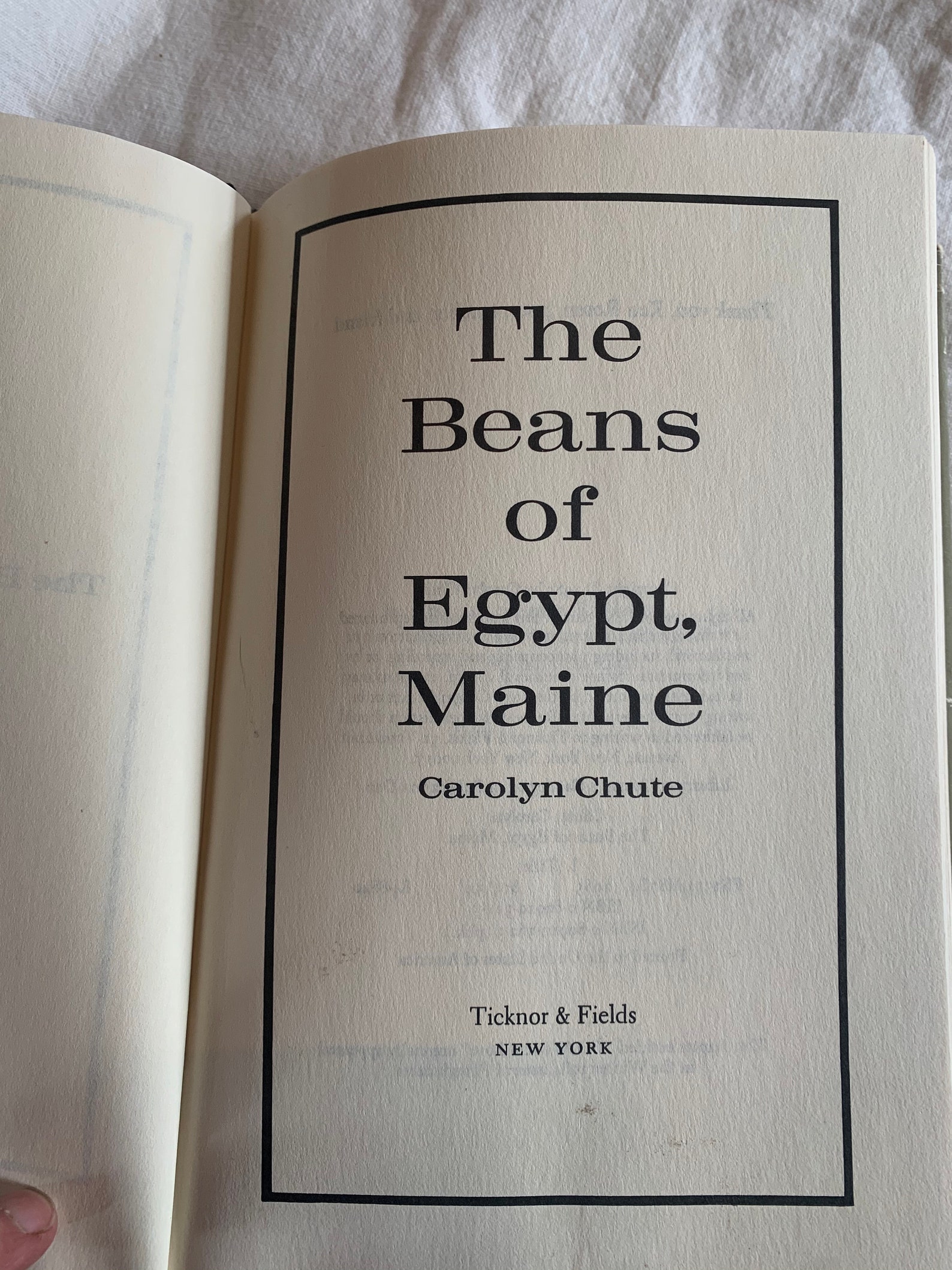 The Beans of Egypt Maine Carolyn Chute 1985 First Edition Etsy