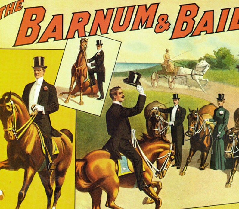 Trick Horses Equestrian Riders Barnum & Bailey Circus Poster 1900s Full Color Advertisement Lithograph To Frame image 1