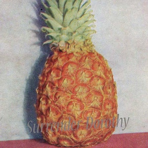 Ananas, pompelmo, mele, 1907, frutti medicinali curativi, epoca edoardiana, litografia vintage, illustrazione al telaio