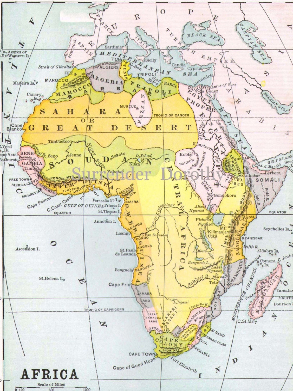 Africa Map 1889 Steel Engraving Antique Cartography Vintage