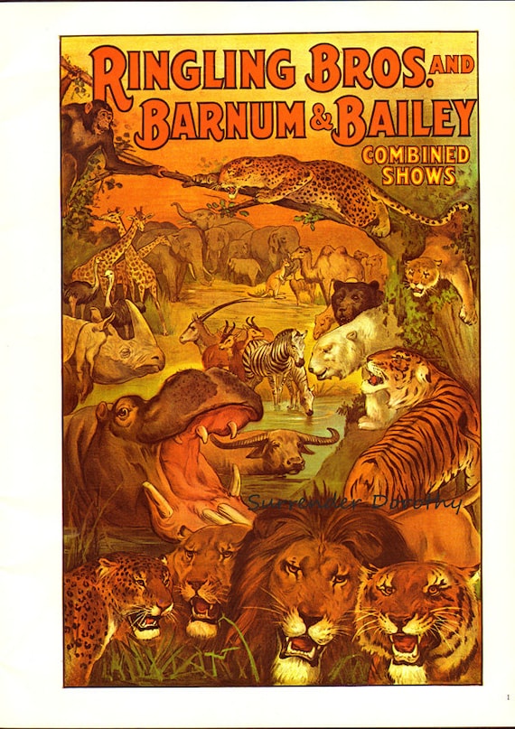 Circus Poster Wild Animal Menagerie Ringling Bros Barnum Circus Poster Polito Framed A Poster 