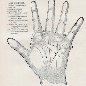 Handlijnkunde wetenschap van het lezen van de hand Vintage frenologie grafiek medische kwakzalverij 1908 zwart & wit
