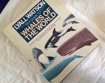 Sea Guide To Whales Of The World Lyall Watson Marine Biology Natural History Lavishly Illustrated  1960s