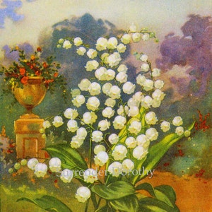 Lily Of The Valley Flowers 1920s Country Cottage Garden Vintage Botanical Lithograph Print To Frame image 2