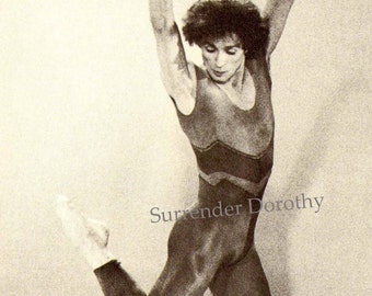 ルドルフ・ヌレエフ ハンサムな俳優 前世紀のロシアの偉大なバレエ