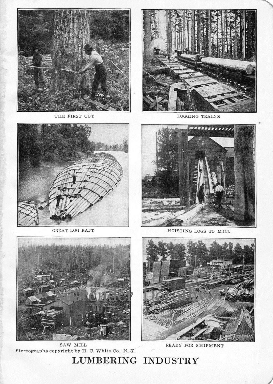 Lumber Industry British Colombia Canada Vintage Illustration 1912 Logging  Sawmill Train Cutting 