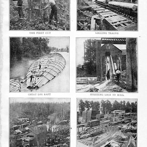 Lumber Industry British Colombia Canada Vintage Illustration 1912 Logging Sawmill Train Cutting