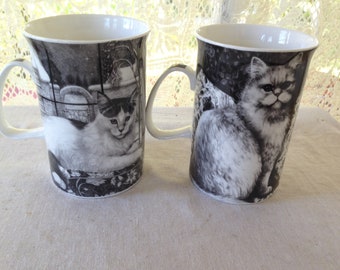 Pretty Kitty Cat Coffee Mugs Teacups Set Of Two Vintage English Country Kitchen Decor