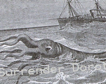 Polypus Squid Sea Monster Vintage Victorian Natural History Engraving To Frame 1887 Original Black & White