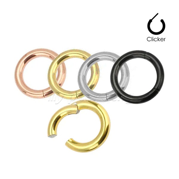 316L Surgical Steel Hinged Segment Ring Clicker Ear & Septum Ring