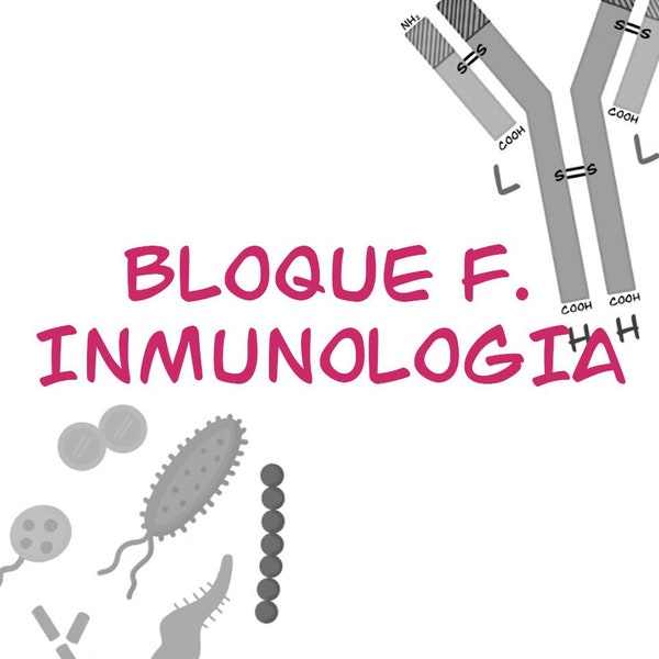 Bloque F Inmunología - Biología EVAU - Biología Selectividad - Biología acceso carreras - Biología acceso universidad