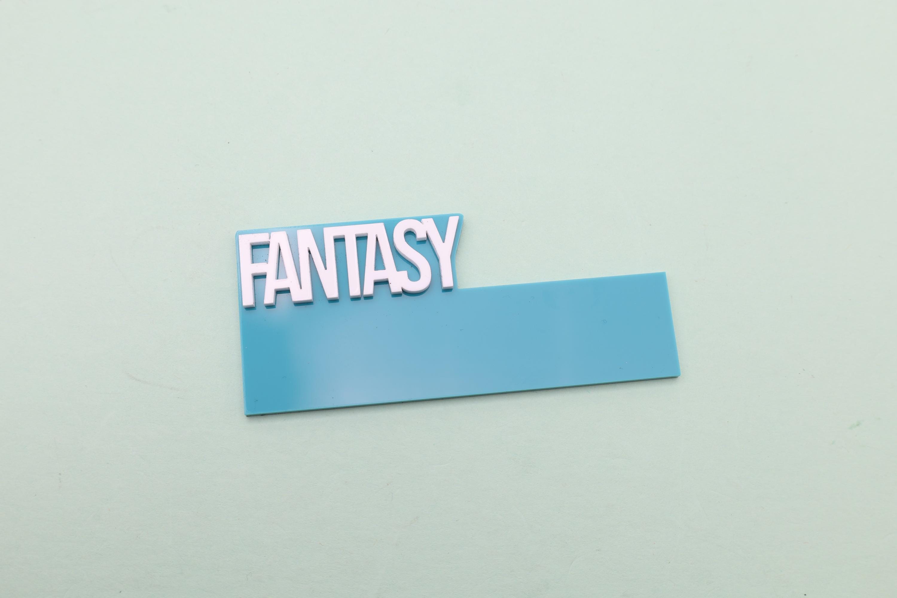 Personalized Acrylic Book Shelf Dividers, Horizontal Genre Organizers ...