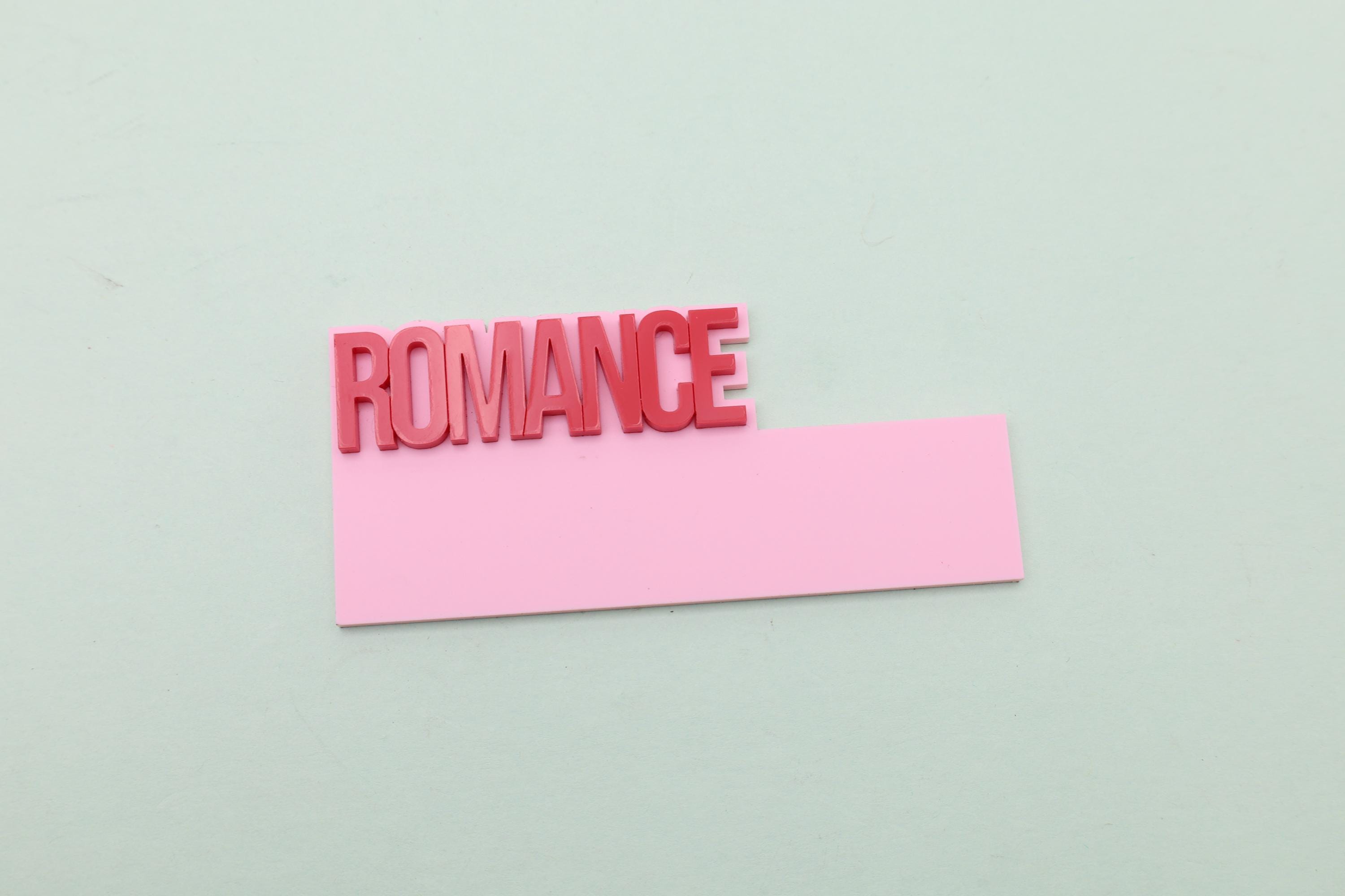 Personalized Acrylic Book Shelf Dividers, Horizontal Genre Organizers ...