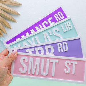 May include: Four colorful street signs with white lettering. The signs read "Chance Rd", "Kavi's Lib", "TDR Rd", and "Smut St".