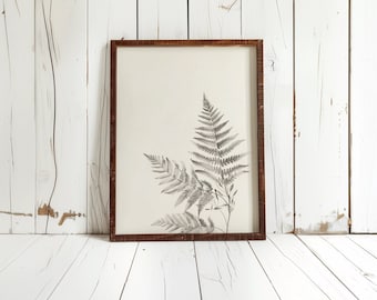 Silver Fern Wall Art Silver Fern Decor For Living Room Painting Fern Art For Entryway