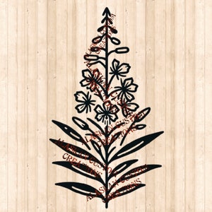 Alaskan Wildflower Simple Fireweed Digital Image Laser Engraving SVG/PNG/PDF