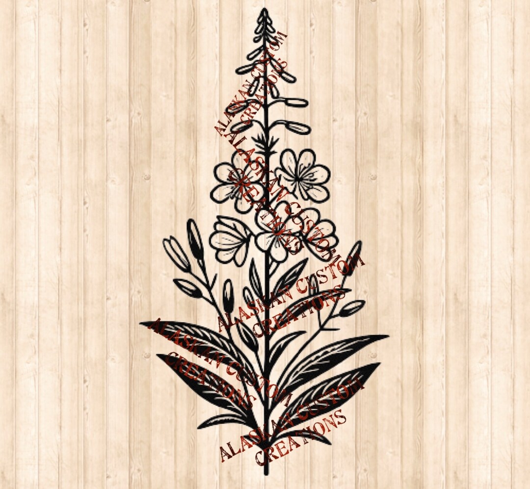 Fireweed Simple Drawing Alaskan Wildflower Simple Fireweed Digital Image Laser Engraving SVG ...