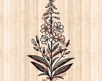 Alaskan Wildflower Simple Fireweed Digital Image Laser Engraving SVG/PNG/PDF