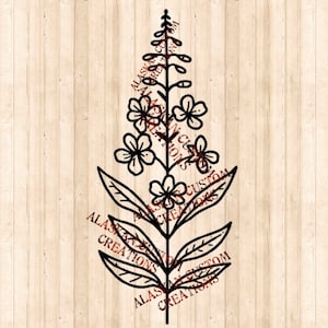 Alaskan Wildflower Simple Fireweed Digital Image Laser Engraving SVG/PNG/PDF