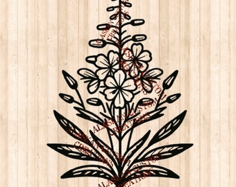 Alaskan Wildflower Simple Fireweed Digital Image Laser Engraving SVG/PNG/PDF
