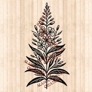 Alaskan Wildflower Simple Fireweed Digital Image Laser Engraving SVG/PNG/PDF