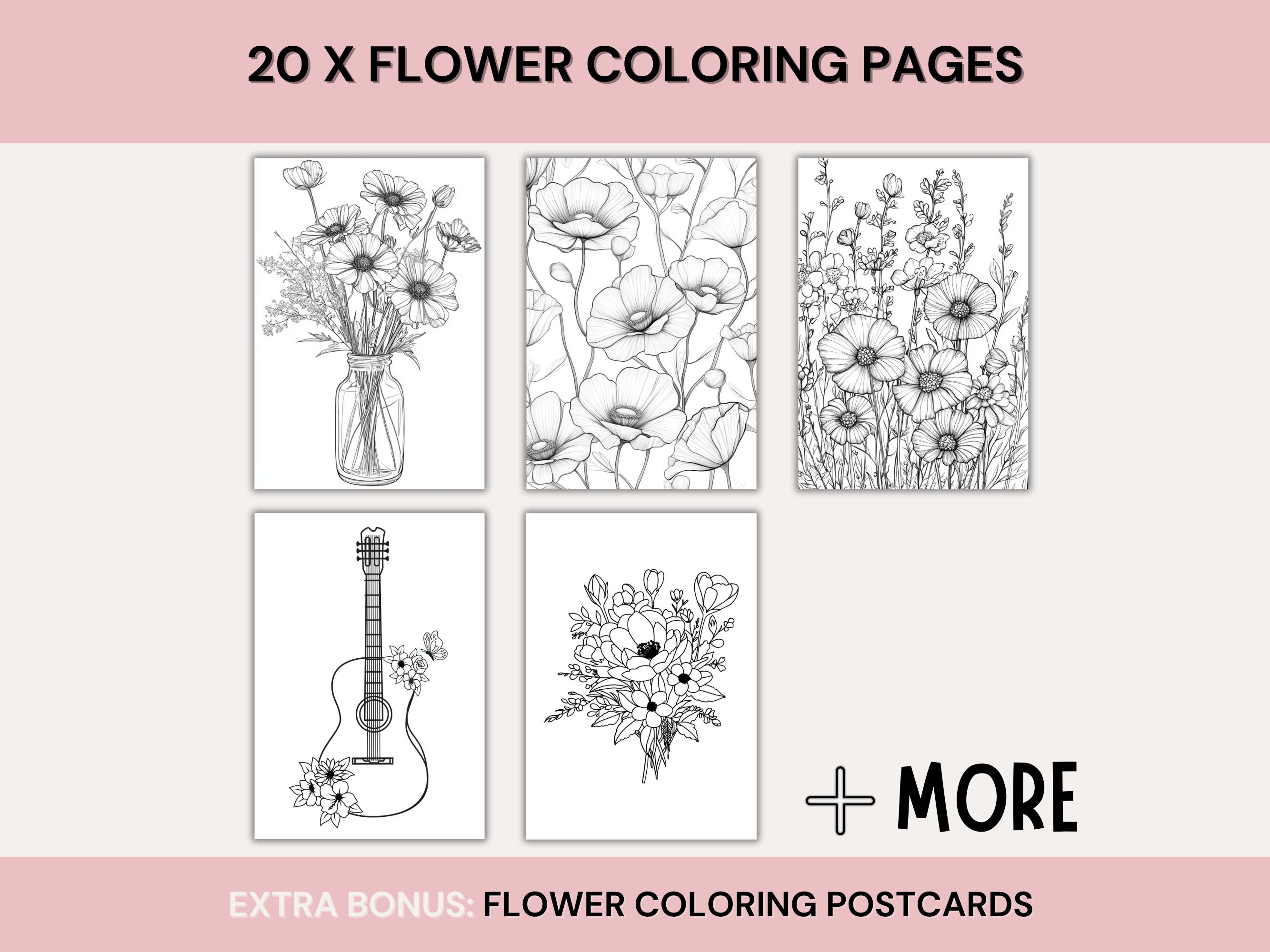 Printable Flower Coloring Pages Set, 20 Floral Designs PDF Format ...