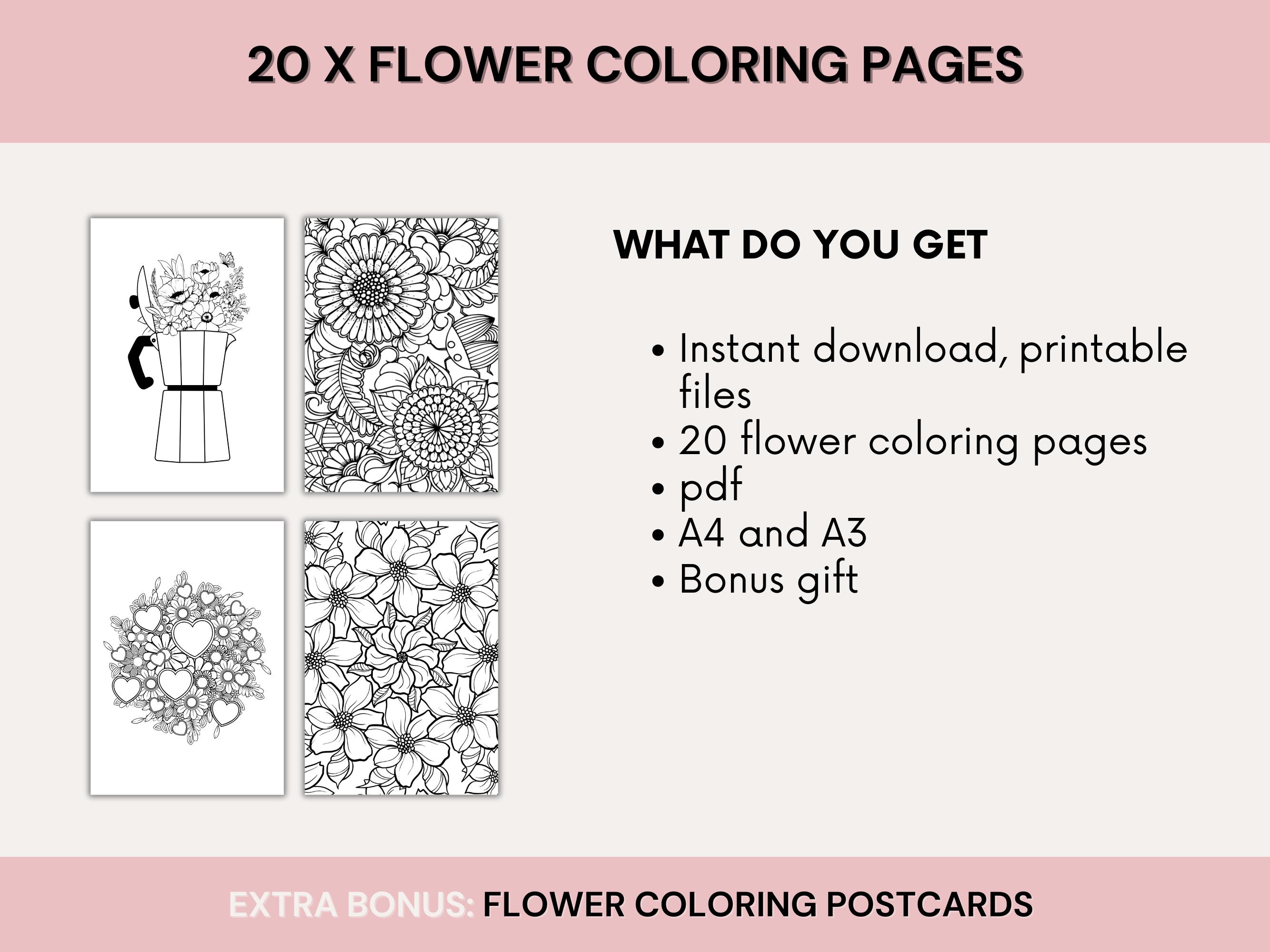 Printable Flower Coloring Pages Set, 20 Floral Designs PDF Format ...