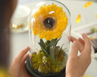 Konserviert Sonnenblumenkuppel | Ewige Blumengeschenkbox, Sunshine Home Decor
