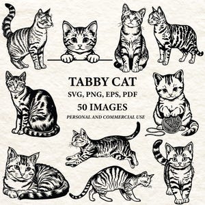 May include: A collection of black and white tabby cat illustrations in various poses. The image includes the text "TABBY CAT" and details about the file types and number of images, along with usage rights.