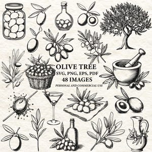 Könnte beinhalten: Schwarz-Weiß-Illustrationen mit Olivenmotiven. Dargestellt sind Oliven in einem Glas, Olivenölflaschen, Olivenzweige, ein Baum und der Text "OLIVE TREE".