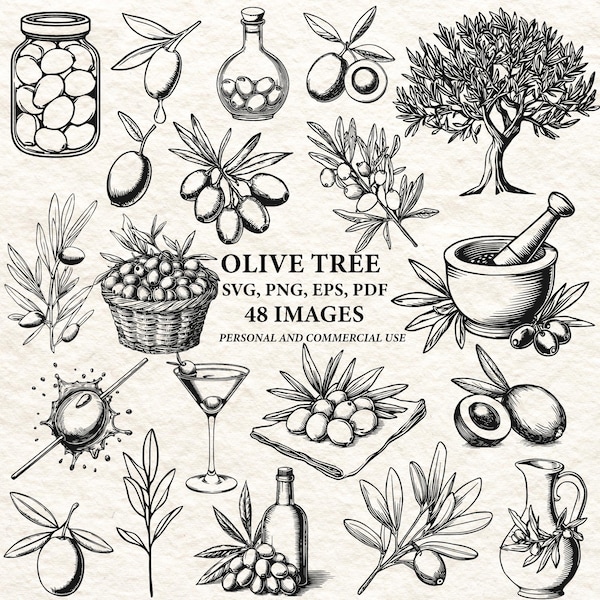 Olivo svg, aceituna png, clipart de aceite de oliva png, rama de olivo svg, aceituna botánica, aceituna vintage png, svg cricut, grabado láser svg
