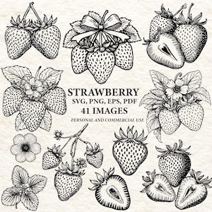 May include: A collection of black and white strawberry illustrations. The image includes whole and sliced strawberries, some with leaves and flowers. Text reads "STRAWBERRY SVG, PNG, EPS, PDF 41 IMAGES PERSONAL AND COMMERCIAL USE".