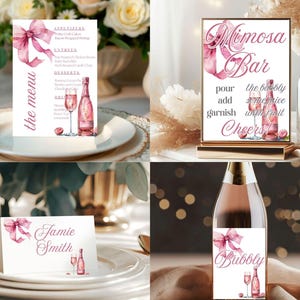 Pacchetto menù per brunch e festa nuziale con spumante, brunch nuziale, festa del tè, cartello bar Mimosa, decorazioni per festa nuziale su tela, carta menù bevande