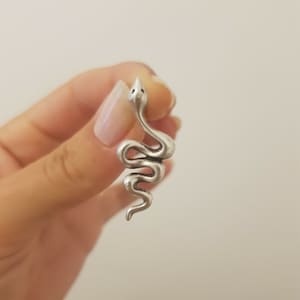 Puede incluir: Un colgante de metal plateado con forma de serpiente enroscada. La serpiente tiene una superficie lisa y pulida con una cabeza definida, dos pequeñas marcas oscuras para los ojos y un cuerpo que se curva en un patrón sinuoso hasta la cola puntiaguda.