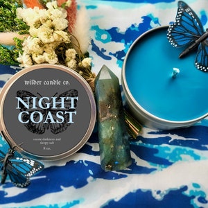 NIGHT COAST - Black Coral and Moss, Sea Minerals | Moody Candles | 8oz Soy Candles | Witchy Candles | Bookish Candles | Candle Gifts