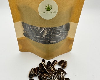 Striped Sunflower seeds treats for pets Hamsters | Rats | Mice | Birds