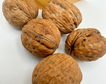 Nueces enteras Mascotas pequeñas /Hámster/ Ratas / Ratones / Loros / Aves