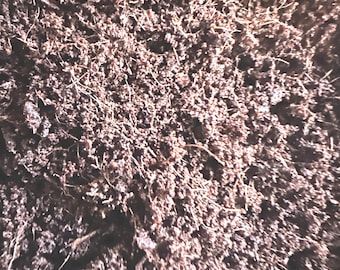 Coco soil Substrate | Hamster | Rats | Mice | Reptiles | Birds Substrate