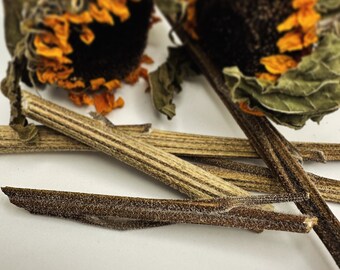 Sunflower Stalk Chew sticks | Rabbit | Guinea Pig | Chinchilla | Rat | chew and natural treat