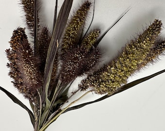 Setaria Hamster Spray | Birds | Rats | Mice